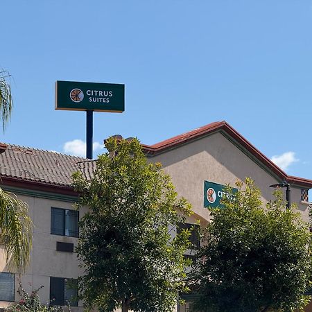 Citrus Suites Redlands Loma Linda Hotel Екстер'єр фото