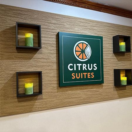 Citrus Suites Redlands Loma Linda Hotel Екстер'єр фото